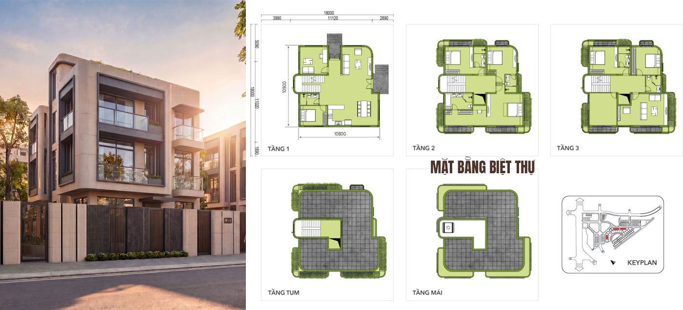 mặt bằng biệt thự vista văn la