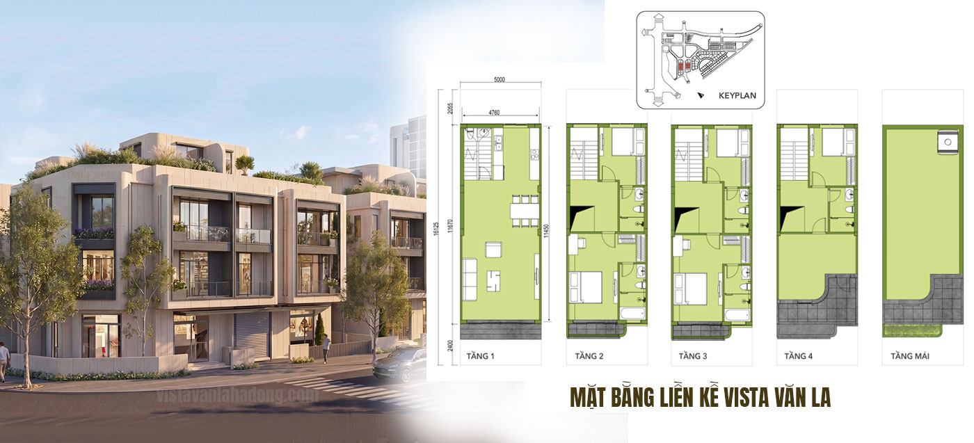 mặt bằng liền kề vista văn la